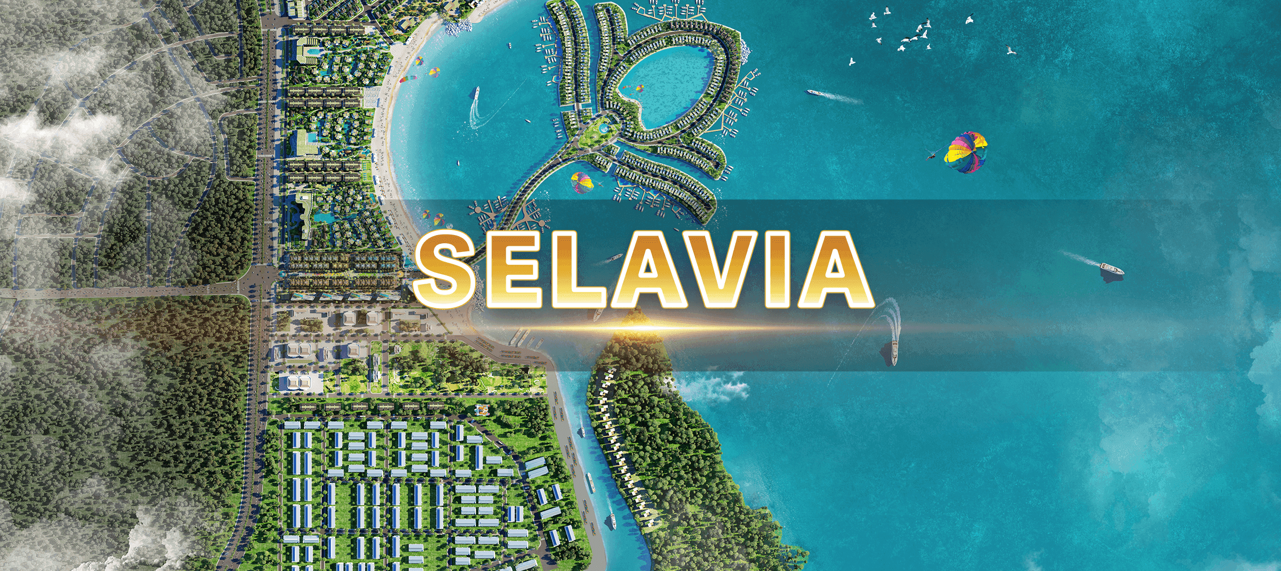 selavia (1).png